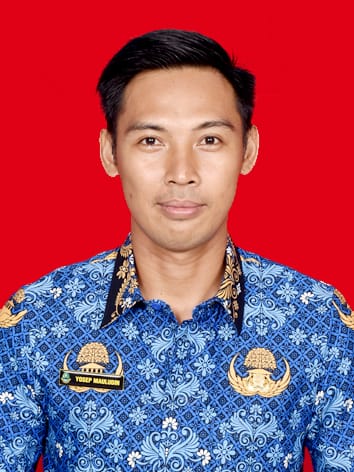 Yosep Mauludin